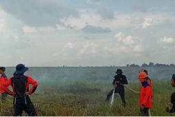 TKTD PT SAM dan BPBD HSS bersinergi padamkan api di lahan masyarakat