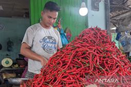 BPS Sumut: Kenaikan harga cabai merah berpotensi sulit untuk dikendalikan