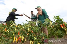 BPS ajak petani Aceh ikut sukseskan Sensus Pertanian untuk kesejahteraan