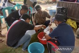 Petani karet tingkatkan kualitas produk lewat bimbingan Disbun Kaltim