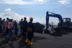 Petugas gunakan alat berat kubur bangkai hiu paus tutul di Lumajang