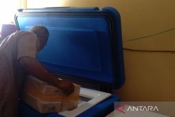 Dinkes Mukomuko: Stok vaksin antirabies cukup hingga Desember