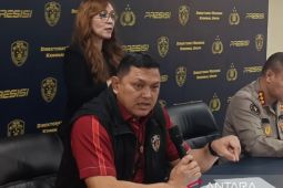 Polisi tangkap pelaku KDRT di Depok