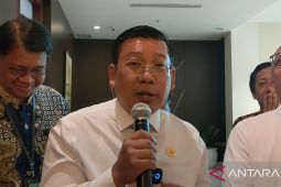 Bapanas dorong pemda tambah anggaran ketahanan pangan tahun ini