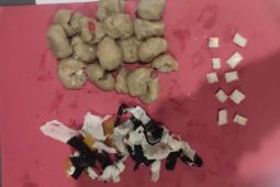 LP Tulungagung gagalkan penyeludupan sabu dalam penganan pentol bakso