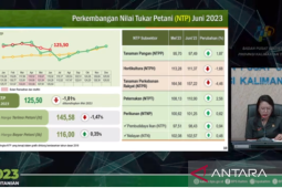 Nilai Tukar Petani Kaltim tinggi pada 125,5