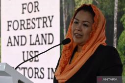 Yenny: Ada pendekatan sejumlah pihak soal tawaran jadi cawapres