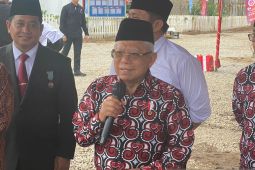 Wapres Ma'ruf ajak masyarakat hindari pernikahan dini