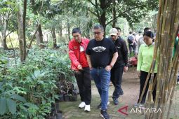 Hasto ingatkan pesan Megawati untuk hijaukan lahan kosong dengan menanam pohon