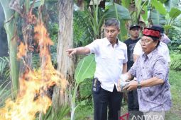 Keberadaan sawit ilegal berdampak terhadap kawasan hidrologis gambut