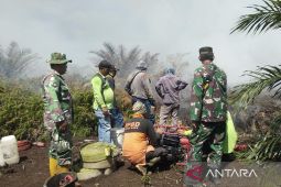 Bekas Karhutla di Nagan Raya kembali terbakar, BPBD: Luasnya 5,5 hektare