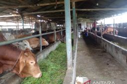 Sumatera Utara perketat lalu lintas ternak cegah antraks