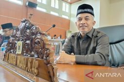 Qurtifa Wijaya beri masukan ke Pemkot Depok soal mall startup
