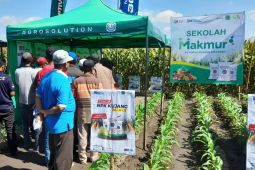 Pupuk Kujang dan perusahaan benih kolaborasi tingkatkan panen jagung