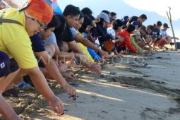 Pemkab Sumbawa Barat mengedukasi warga dalam perlindungan penyu