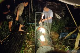 Seekor Beruang Madu di Tapin ditangkap BKSDA Kalsel