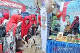 TP-PKK Bangka Barat fasilitasi pemasaran produk usaha rumah tangga