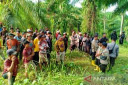 Petani Mukomuko surati Menkopolhukam terkait sengketa agraria