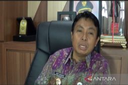 Tradisi brandu diduga jadi penyebab penularan antraks ke manusia