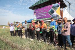 Pemkot Madiun manfaatkan lahan aset untuk tanaman bawang merah