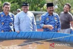 Pemkab sebut budidaya ikan jadi peluang bisnis menjanjikan di Bekasi