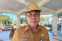 Wapres Ma'ruf Amin akan canangkan program strategis di Papua Barat