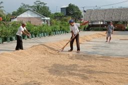 Pemkab Lebak: Waduk Karian sumbangkan kedaulatan pangan nasional