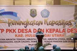 Ratusan Tim Penggerak PKK Desa di Kalsel tingkatkan kapasitas kemampuan