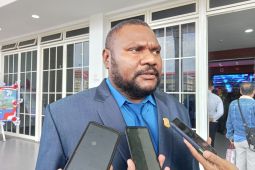 Fraksi Otsus sarankan pemda susun perda pajak karbon Papua Barat
