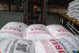 Penyerapan pupuk bersubsidi di Karawang di atas 50 persen