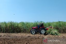 Mentan sebut penggunaan alsintan dapat percepat swasembada gula