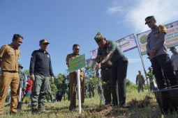 Kodim 1001/HSU-BLG tanam pohon serentak peringati HUT Kodam VI/Mulawarman