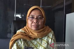 Pemkab gandeng Badan Otorita Borobudur kembangkan parekraf Ngawi