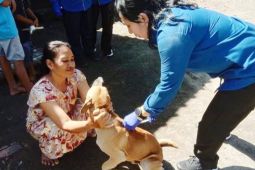 Pemkab Banyuwangi vaksinasi hewan pembawa virus rabies