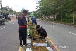 Bangka Barat gandeng perusahaan tanam bunga di median jalan