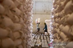 Realisasi penyerapan pupuk subsidi