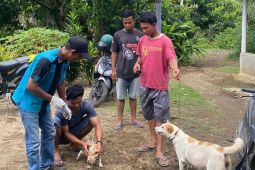 26 kasus rabies terjadi di Pasaman Barat, satu orang meninggal dunia