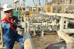 PGN Saka terapkan program dekarbonisasi dalam operasional dukung target nol emisi