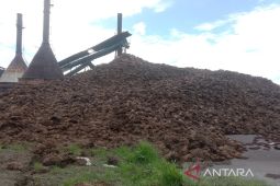 Dua pabrik Mukomuko beli sawit dengan harga tinggi