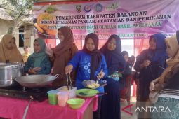 Pemda dan TP-PKK Balangan gelar pelatihan memasak untuk lawan stunting