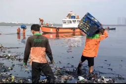 Sejumlah pihak lanjutkan aksi bersihkan sampah di kawasan Hutan Mangrove Muara Angke, Kamis