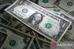 Dolar jatuh paling rendah dalam setahun terakhir