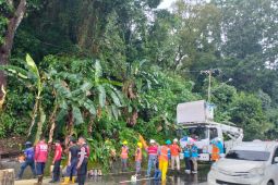 PLN UP3 Ambon  pulihkan suplai listrik akibat cuaca ekstrem
