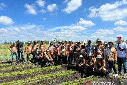BRGM gelar program Sekolah Lapangan Petani Gambut di Kubu Raya