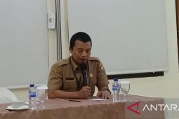 Pemprov Jambi optimistis PLTA Kerinci Merangin mampu tingkatkan EBT