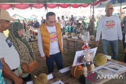 Bangka Tengah gelar kontes durian unggul khas lokal