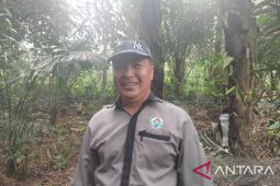 Pemkab Rejang Lebong minta 122 desa segera cairkan dana desa