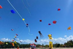 PLN dukung pelaksanaan Bali Internasional Kite Festival