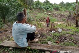 Otorita: Pembangunan IKN penting libatkan masyarakat lokal