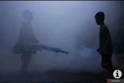 Sejak Januari, 285 warga Lebak terkena DBD